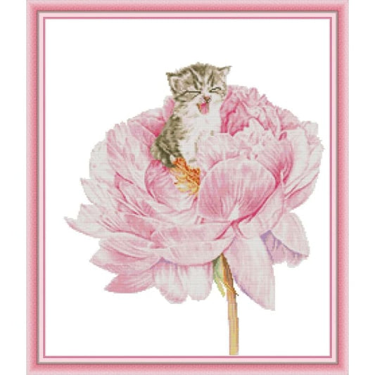 Cat in the flower 2