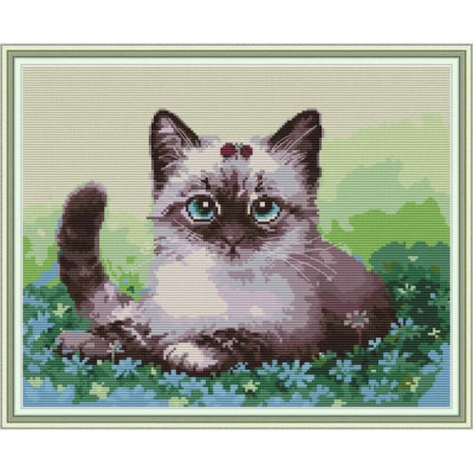 Cat on the flowers