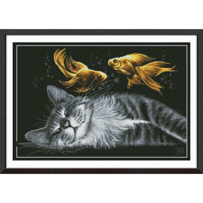 Cat’s dream