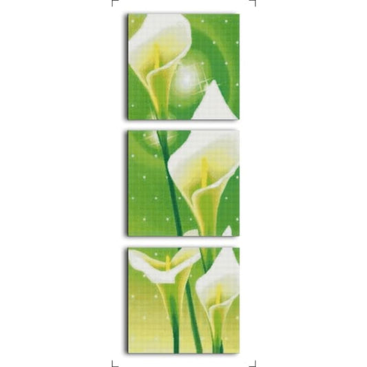 Common calla (triptych)