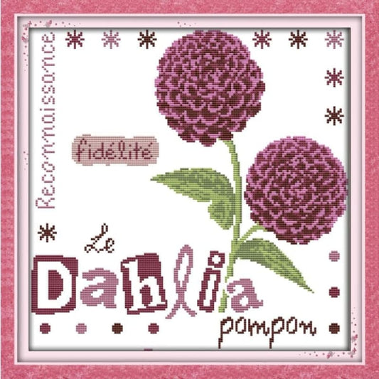 Dahlia