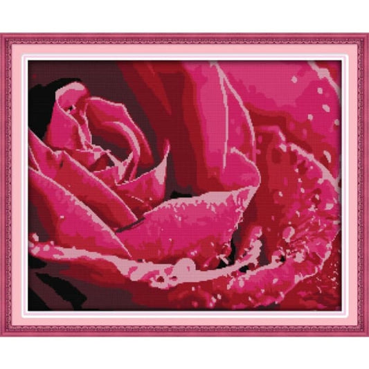 Dewdrop rose