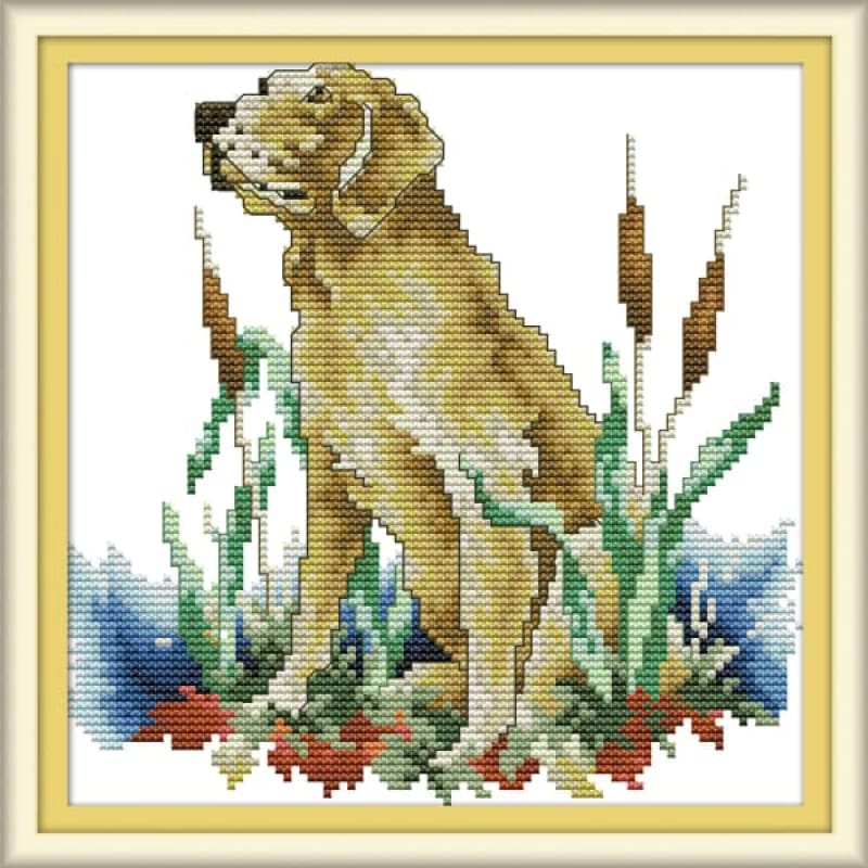 Labrador – Needlework Kits - UK