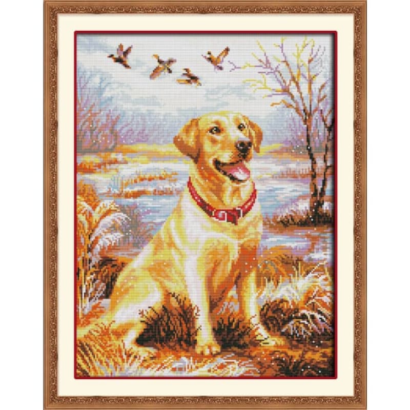 Labrador Retriever – Needlework Kits - UK
