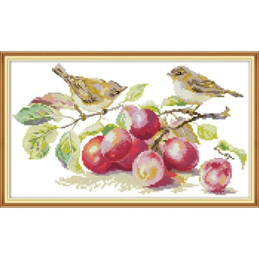 Little bird and apricot