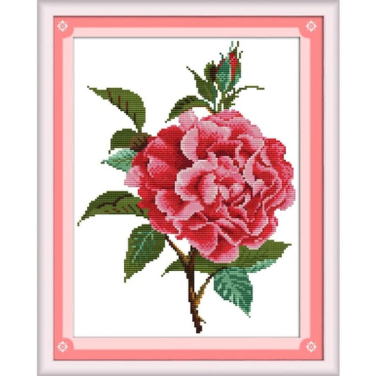 Peony