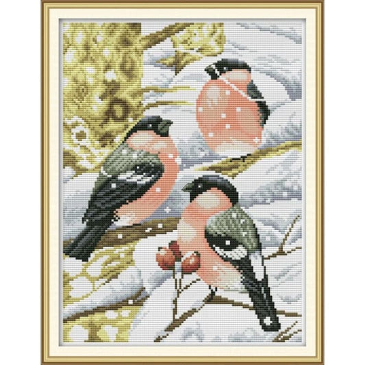 Red-bellied bird in the snow