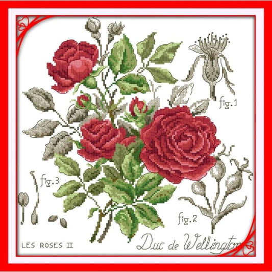 Red rose (2)